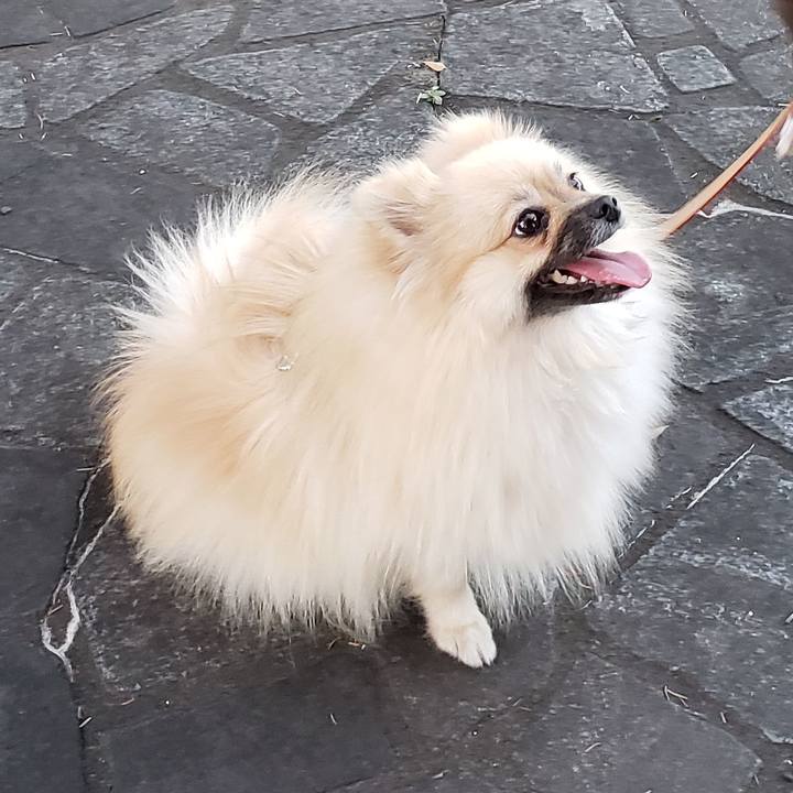 A28f0ac4 f71b 4c01 badf b9a731194ddf 1637849382290