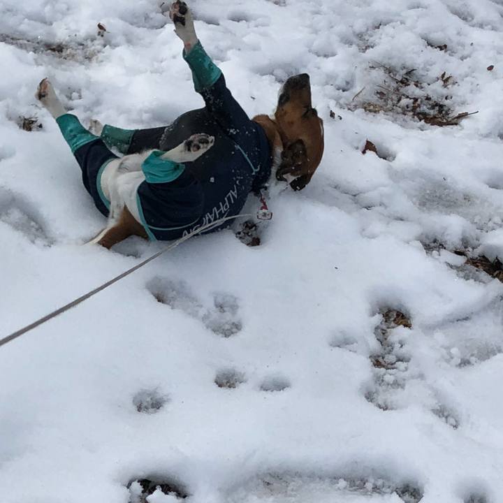 A28f1a16 1937 48e9 92cf e3656666d9c0 1517181367732