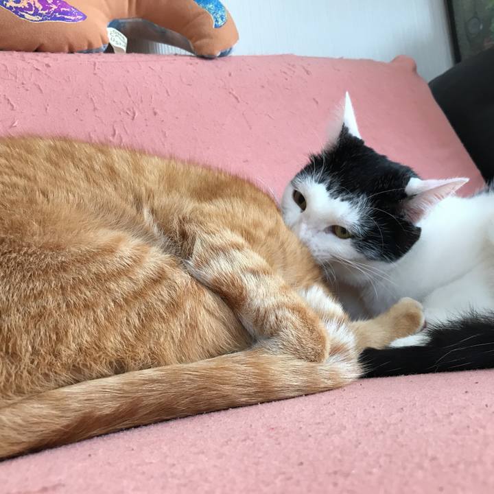 A28f284b 3b08 42a0 a87b a9fef857d86d 1517277024219