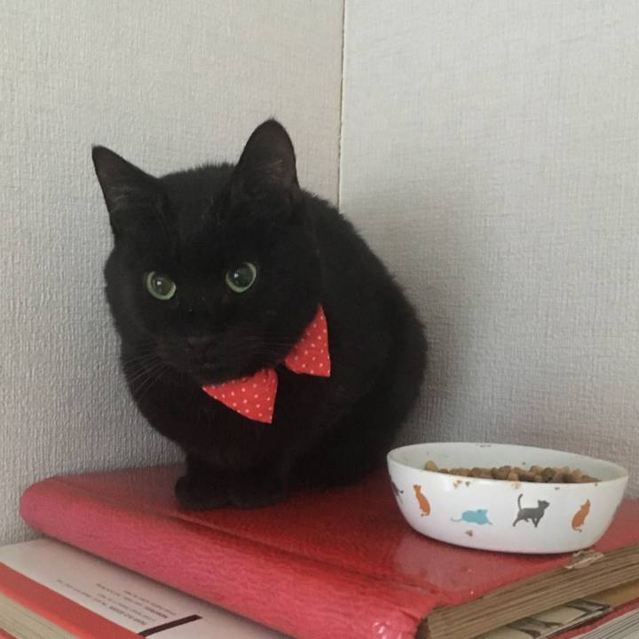 A28f33b9 7074 40ba 835f c7723c1d74f3 1550785196528