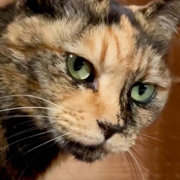 A28f56e4 5df2 4b12 9d52 78a255da4096 1766994945034