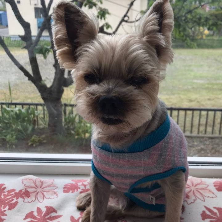 A28f989f b8f6 4504 8079 f9d724446b6b 1591520769687