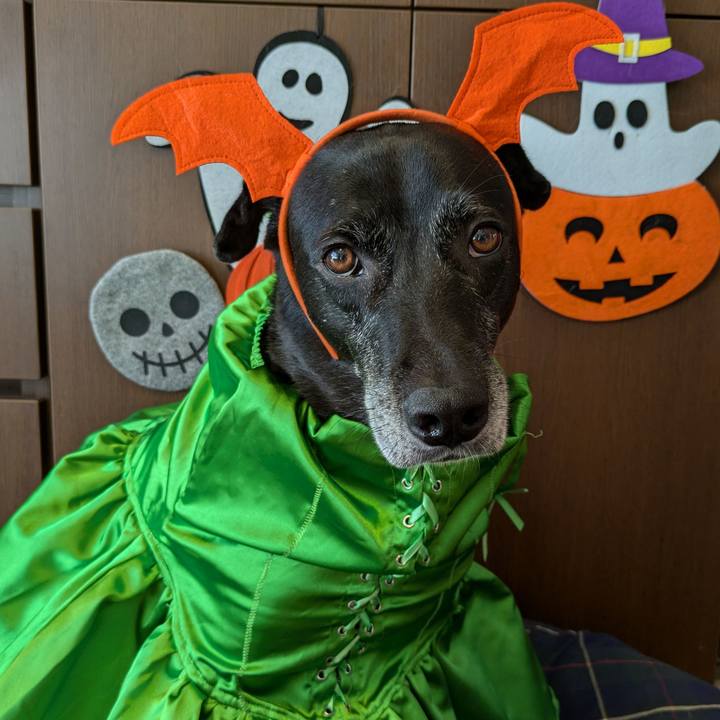 A28fad83 cd96 4b06 b14e 7f4871c8436a 1730163698191