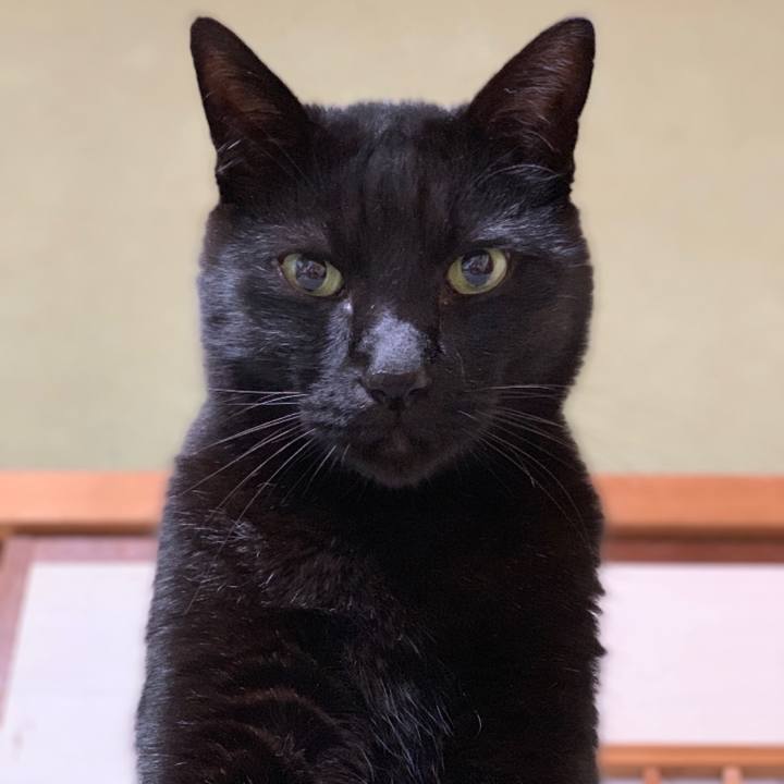 A28fb1d9 53eb 4c85 92d9 e65f2dc398a0 1546560818188