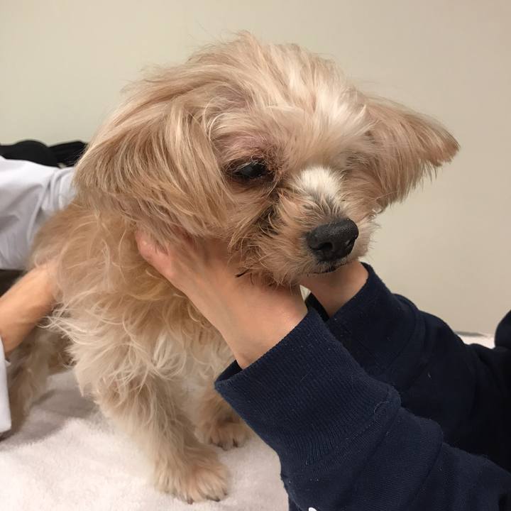 A28fcd09 6a6d 4a42 822a 3c9d8f6b00f5 1548386630411