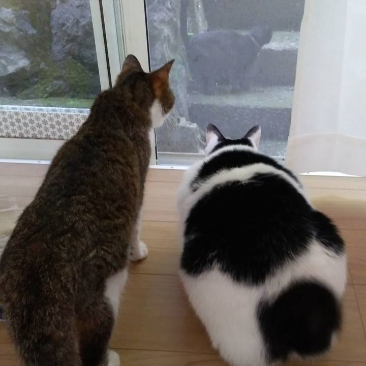 A28fdd1c 72d9 4019 9b6f eb924445cbe0 1528800204335