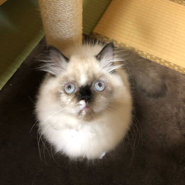 A2900ffe 62c6 4eda 8886 482048301da9 1631707824779