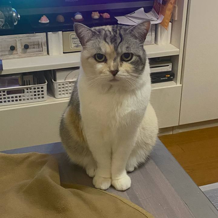 A29011d1 92c5 40cb a709 ea156c88ab03 1652102126440