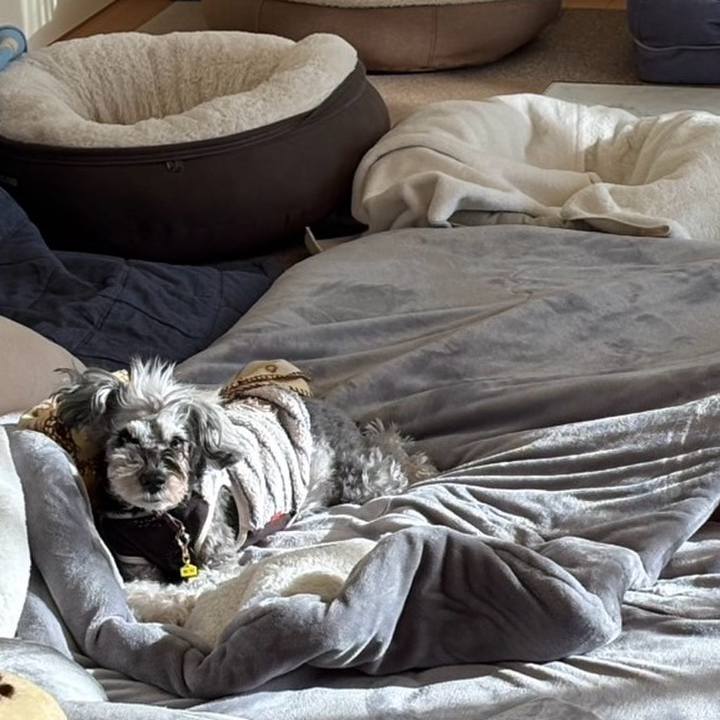 A290242e 0f9a 44aa b002 a6fb8f5c6cc0 1770992527590