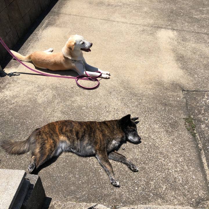 A2904471 d5f4 44bf bd97 fc4a7546b502 1628638529481