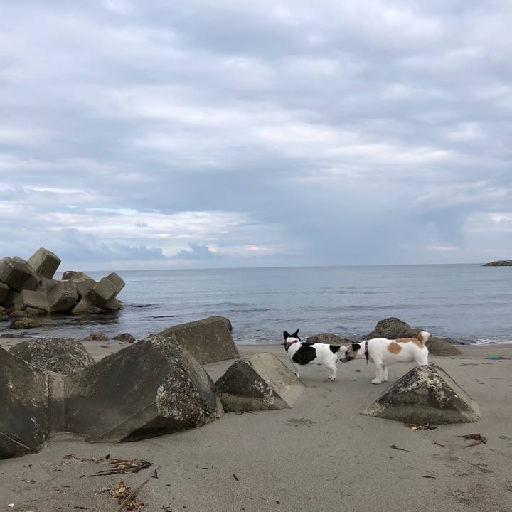 A29095de 4f02 463c 867f 3cbdbc225e02 1561416937814