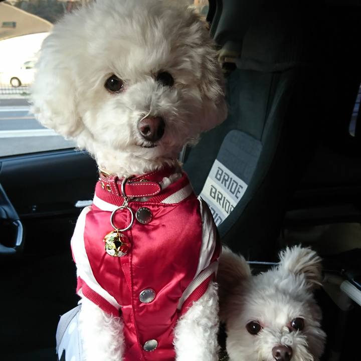 A290be6c 5bac 4bbc a6b6 4bab7ee2366b 1579011914485