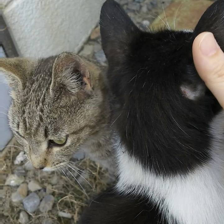 A290e29c a8ad 4011 80ef 513fb437e2cb 1527413772979