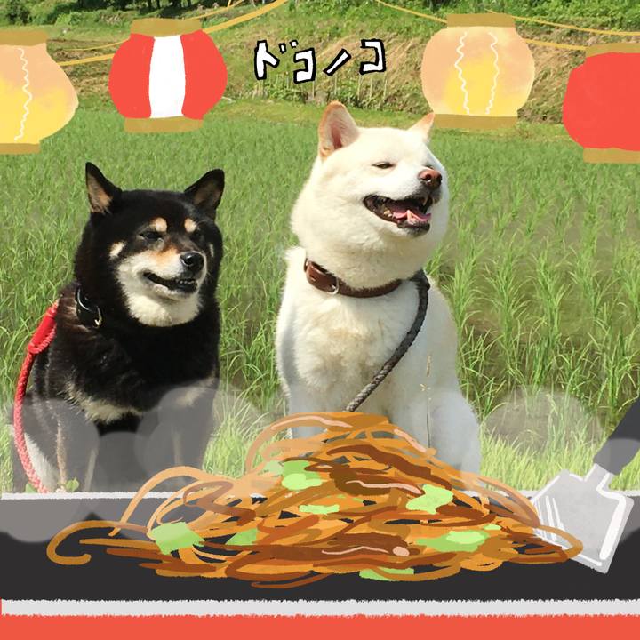 A290eca9 fd24 40b4 a985 1a9bfdde833b 1755135079772