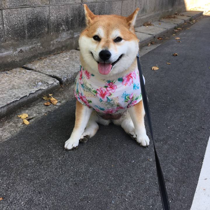 A29119f3 6df6 47c1 b263 e8fe4b3bc646 1568249488322