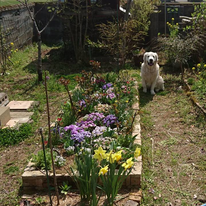 A29135b0 3ce4 4c9b 9de5 a2e8b08183d0 1521954350448