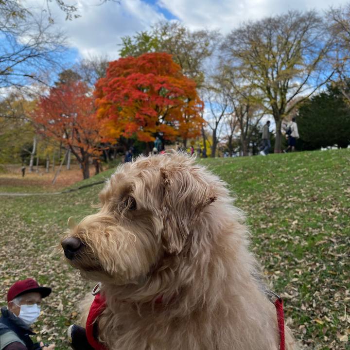 A29143e1 c0db 48e4 a269 8c08d0d53511 1667862398333