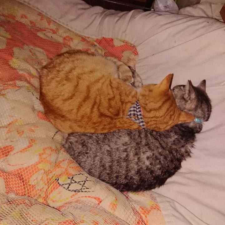 A2915f47 8a58 4a64 8ee8 94c95b12efcb 1575044302289