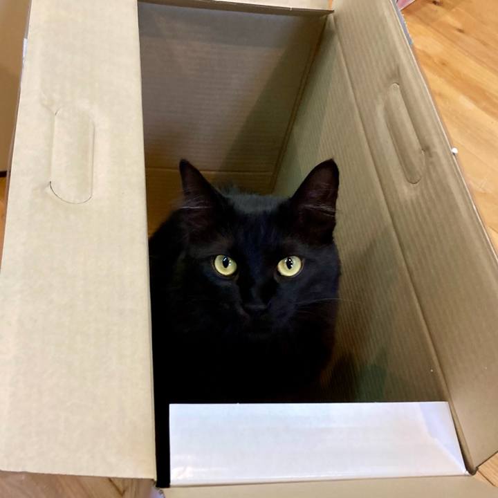 A291629b e025 46df b7e5 ab337e83806f 1735455599437