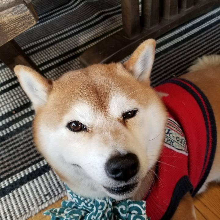 A2916418 ccf1 487f 9d9b 7406a92d975c 1516496771791