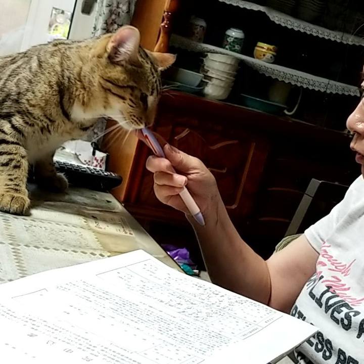 A291e2dd 174c 4875 a25b 34d655474b16 1568211697884