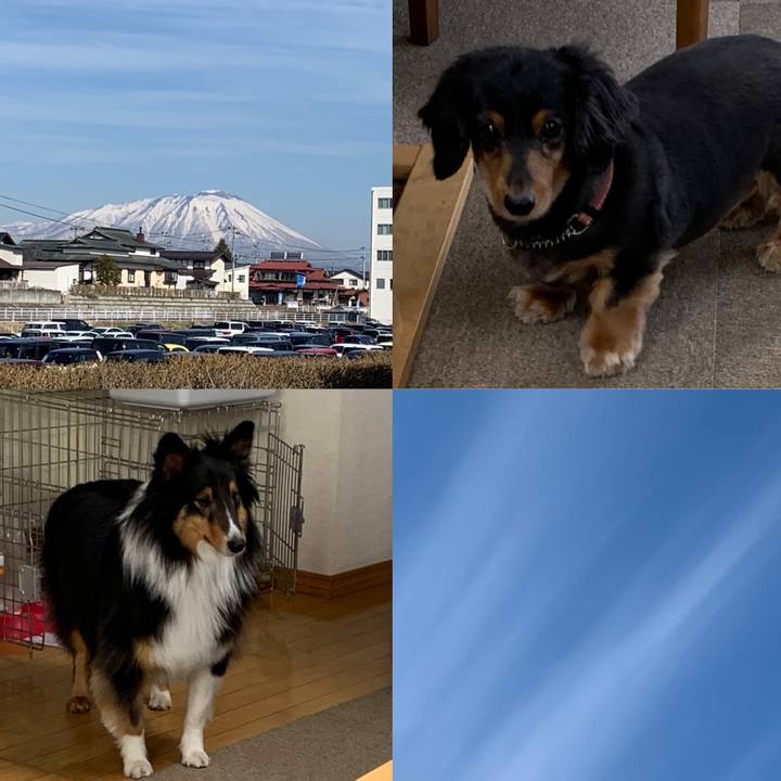 A291ebea b141 4140 8c4f 8863d21a4ceb 1585525627038