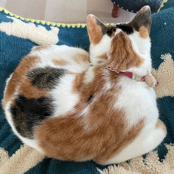 A291f2c6 1d66 48c5 9ce3 f5484830cc22 1641339105747