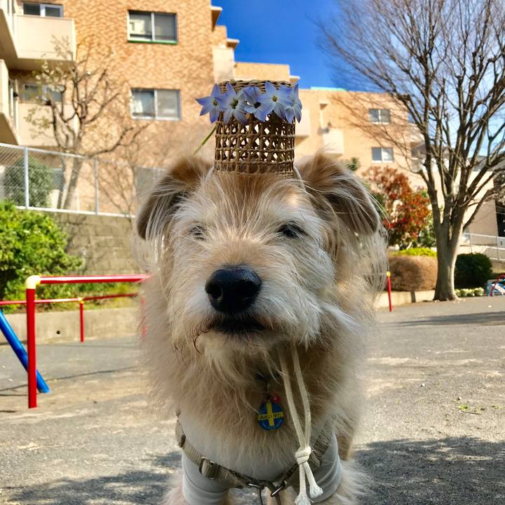 A2921853 0058 413e 838c c24bbf261b69 1615880027745