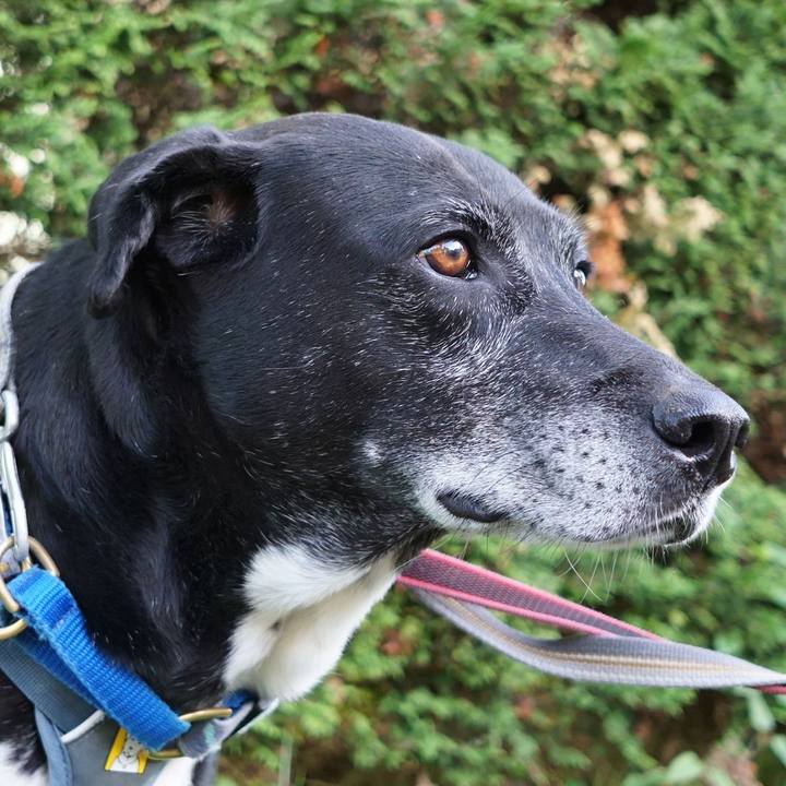 A2922088 32bb 48b5 8648 5faf4505d729 1759884057949