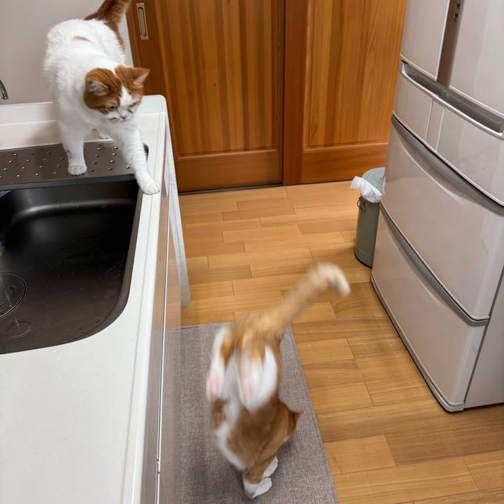 A2922b02 4334 4647 bda4 c3937846b6b3 1772593249034