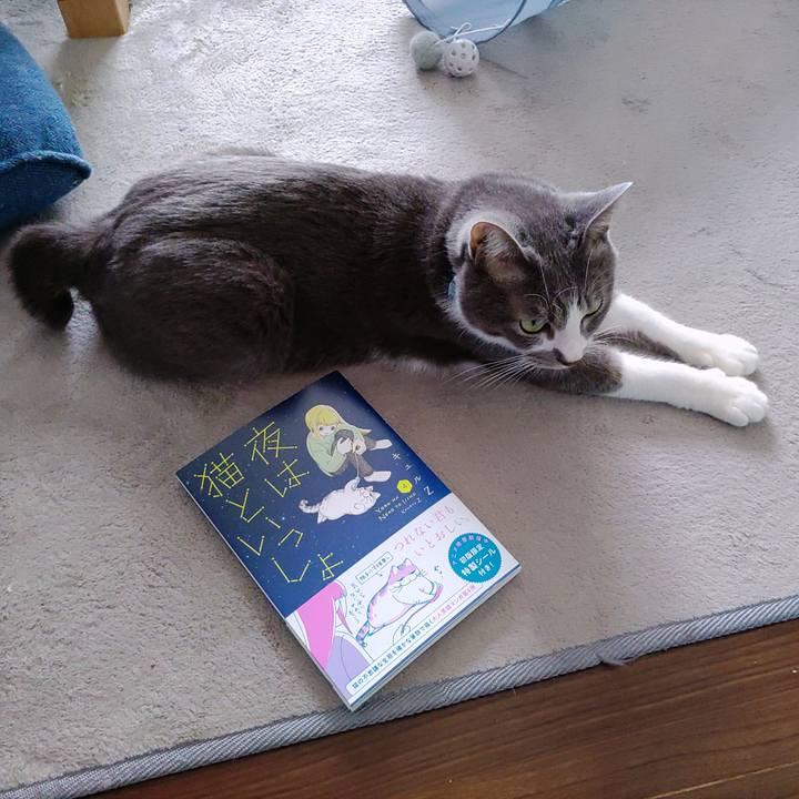 A2923424 19c4 4da1 b3cb ca9b8cd1924a 1666841792221