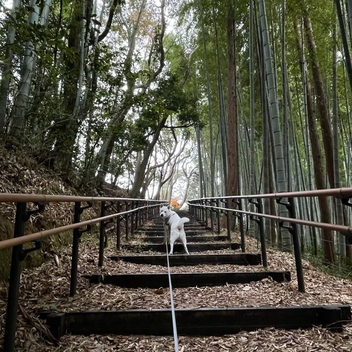 A2924d11 92c8 43d3 bb3d 7af7e9748dbc 1609036219986