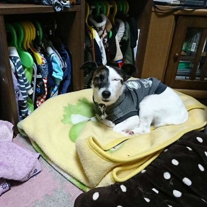 A292587c 1f1c 42b5 8f1c 1ec1cb623fa1 1509964658106