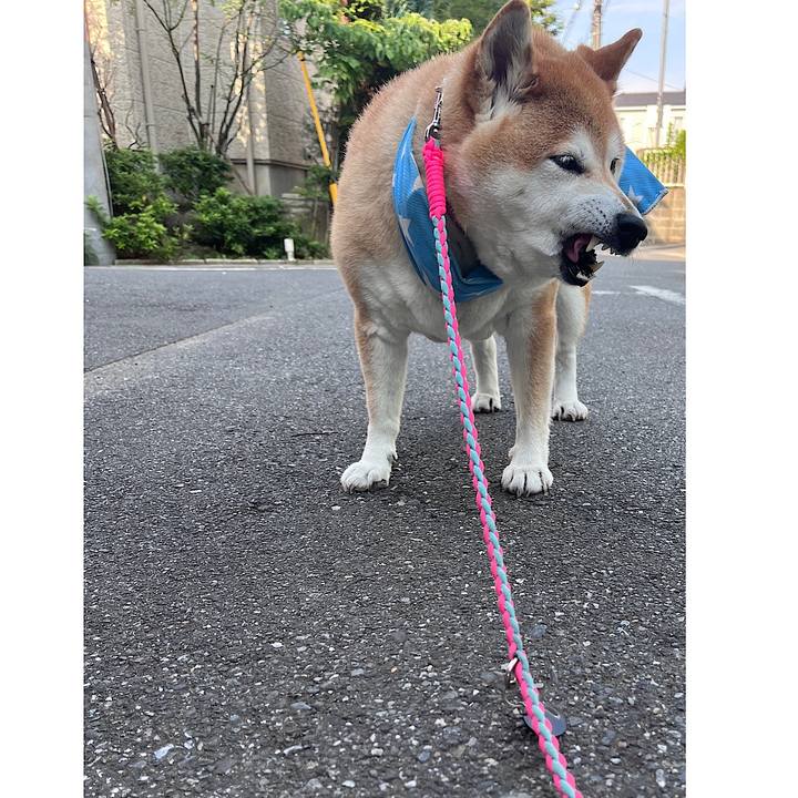 A2928ea3 c757 4143 9250 1b45d16ebff5 1721775274319