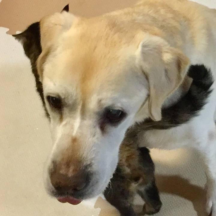 A292a919 708c 480b bf41 cc173a535016 1524550707442