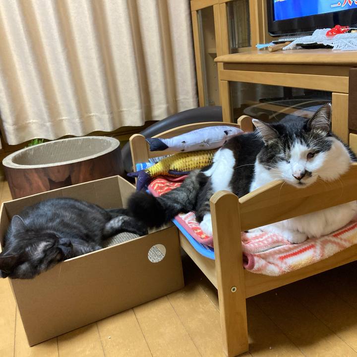 A292aa85 66ac 42ea 834f ed23c5f05205 1707513863075