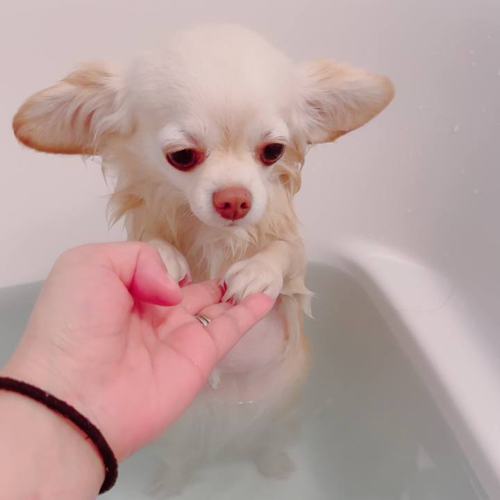 A292b3df b0bf 49a3 b22f 9cf9da36cd48 1705645113288