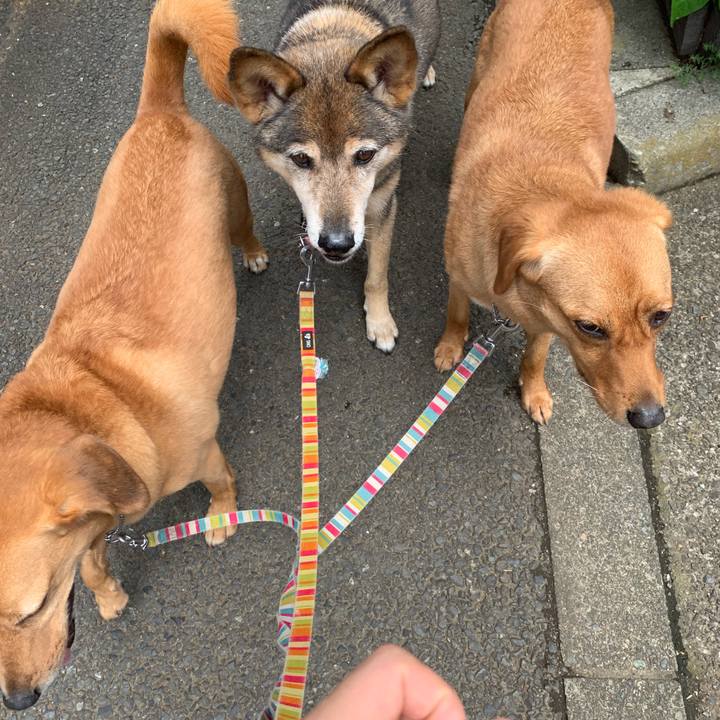 A292b7c2 1de6 432a a28f 1963d7bf768e 1562119238867