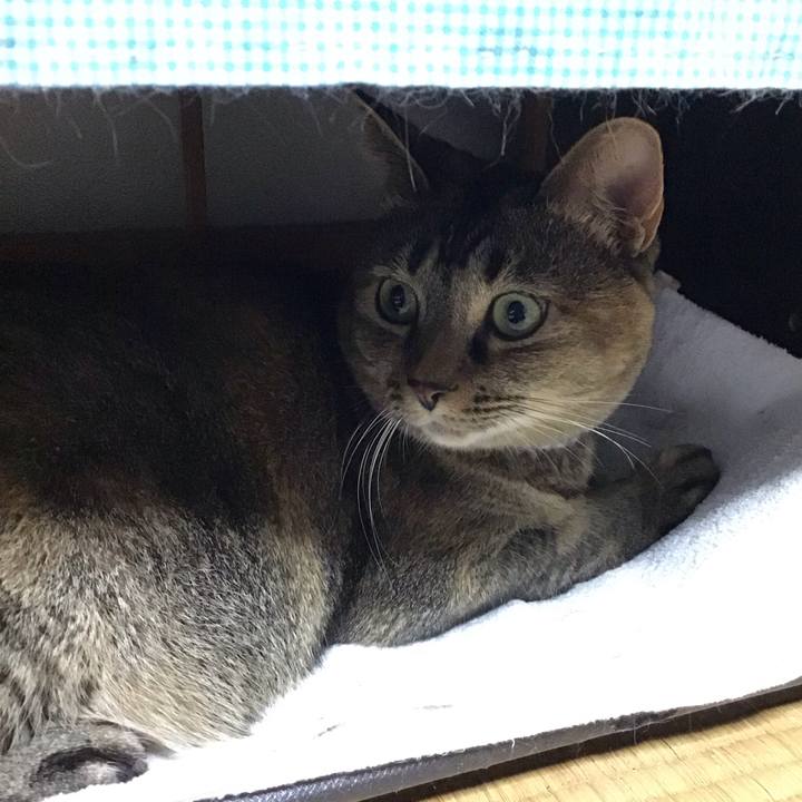 A292cc19 3868 4fdc 9eb4 62eb4a38f574 1668432704354