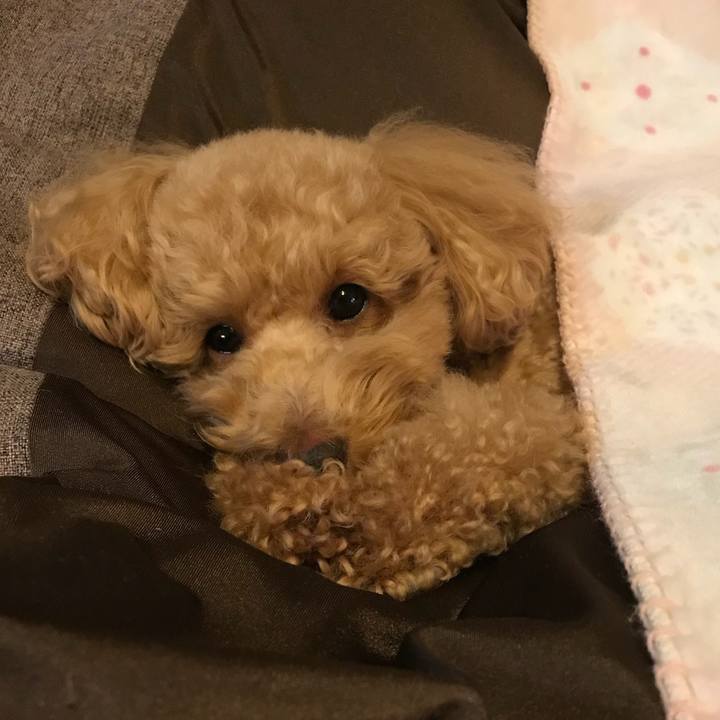 A292ccc3 7a57 4d17 abe4 c378c5430549 1512484253086