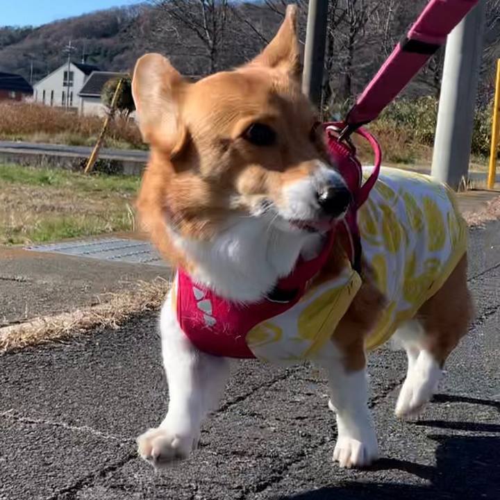 A292ccf4 c2c5 4b49 a731 60f94045b231 1672459213185