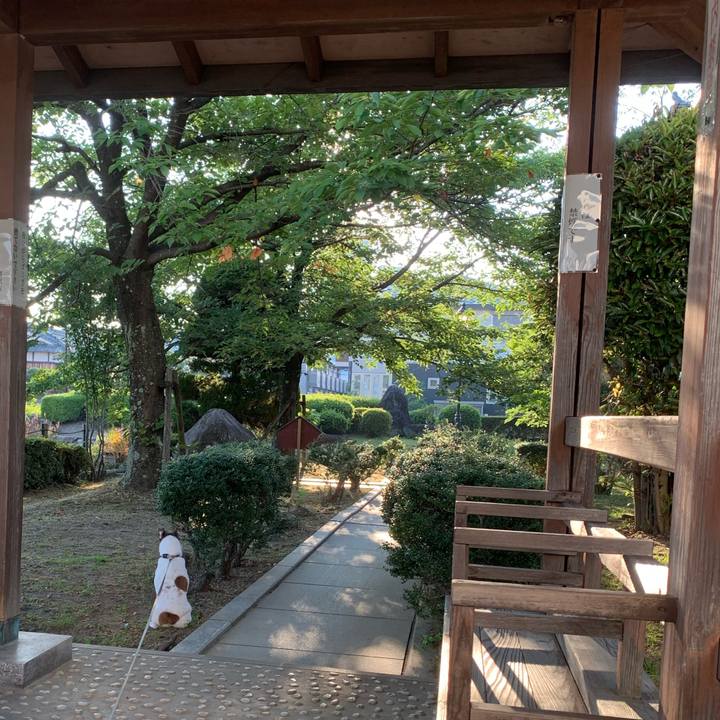 A292eef6 5d2b 4eb7 a341 c498798000fa 1597530857590