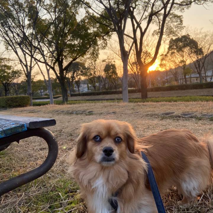 A2930887 a51a 4ec7 9a38 2945f421ce4e 1584568530890