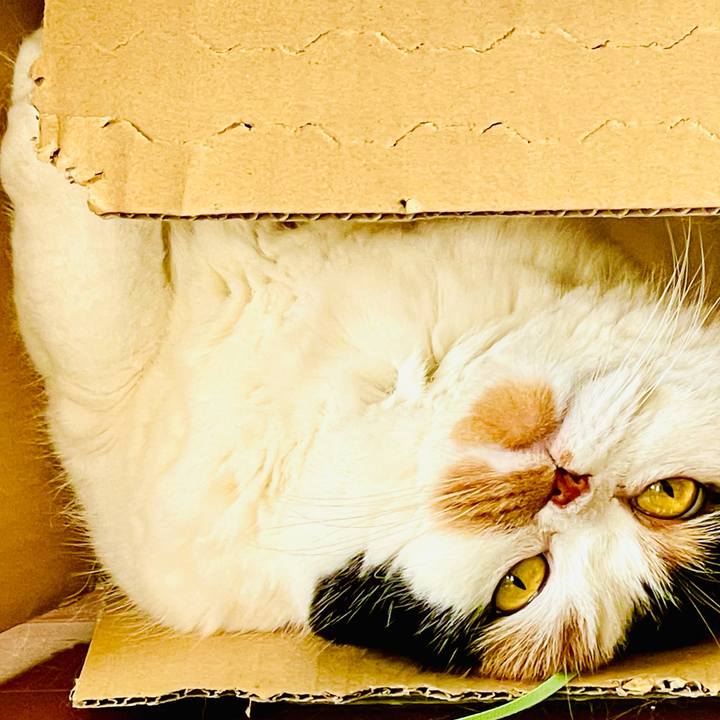 A2930aee 6685 466e ac60 0438552e689e 1612663009096