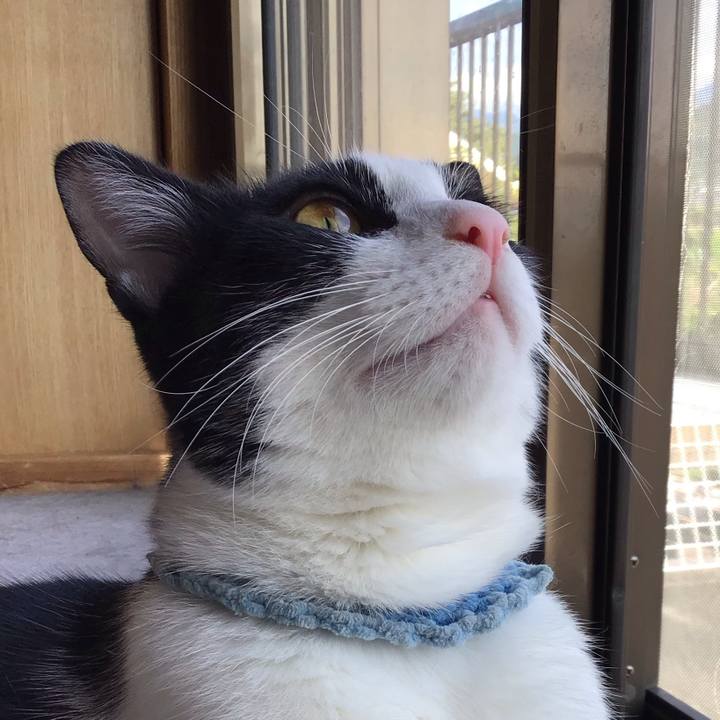 A29327a1 7446 452b b182 7552f9be3251 1662979306928