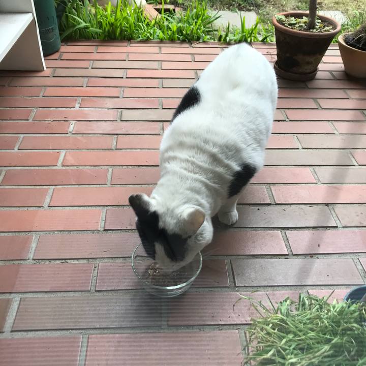 A2933495 ea45 45ae a918 5c1d05c7dd31 1611800686211