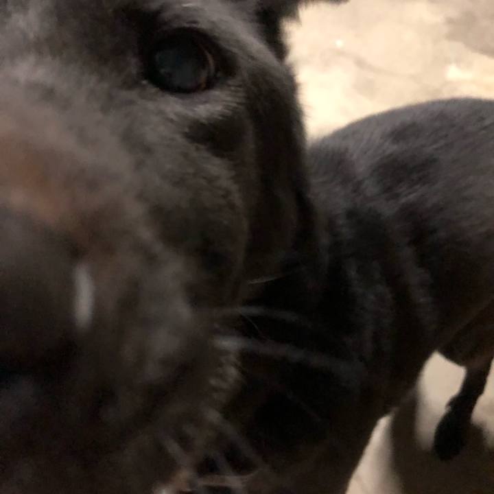 A293568d a599 414e 8e3d bb5d5b22fecc 1546342997025