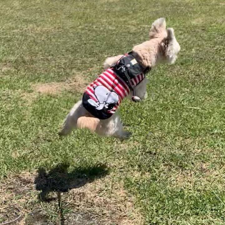 A2936166 ddbf 41ab b9e7 66253b628e4a 1587026195915