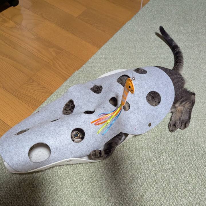 A293619f dd27 41d6 936e 6edebeee63ab 1737187194290