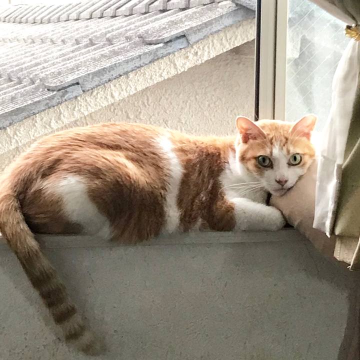 A29373d6 6776 40d7 a338 327aa9354991 1569332619640